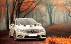 Mercedes E-212
