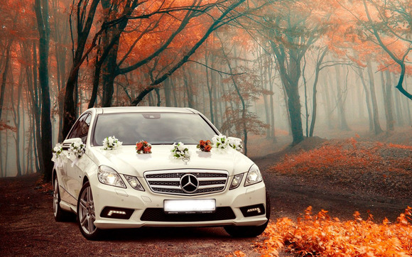 Mercedes E-212